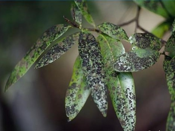 Xr:d:daffxb2o7y0:40,j:30526116904,t:22071113