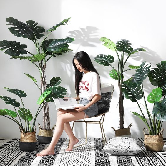Cách nhận biết cây giả và cây thật khi trang trí